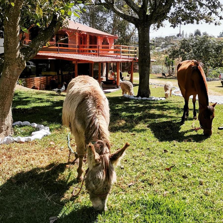 La Granja De Papa Alberto Puembo Exterior foto